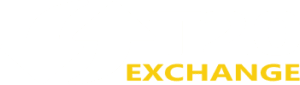 t20 exchange Logo